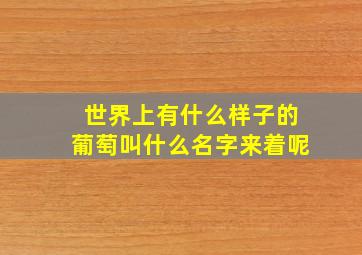 世界上有什么样子的葡萄叫什么名字来着呢