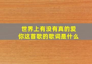 世界上有没有真的爱你这首歌的歌词是什么