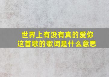 世界上有没有真的爱你这首歌的歌词是什么意思