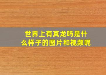 世界上有真龙吗是什么样子的图片和视频呢