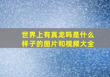 世界上有真龙吗是什么样子的图片和视频大全