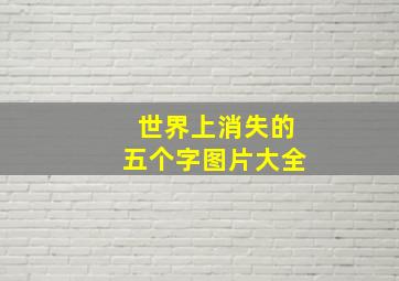 世界上消失的五个字图片大全