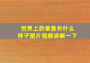 世界上的章鱼长什么样子图片视频讲解一下