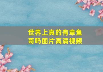 世界上真的有章鱼哥吗图片高清视频