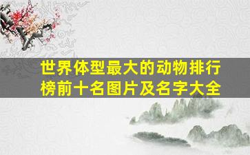 世界体型最大的动物排行榜前十名图片及名字大全