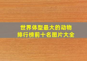 世界体型最大的动物排行榜前十名图片大全