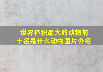 世界体积最大的动物前十名是什么动物图片介绍