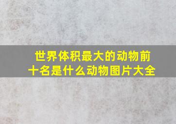 世界体积最大的动物前十名是什么动物图片大全