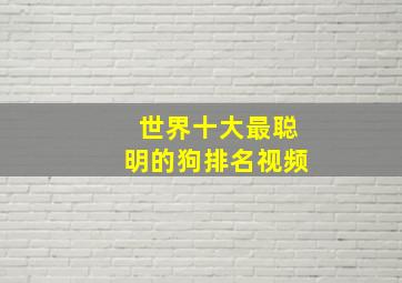 世界十大最聪明的狗排名视频