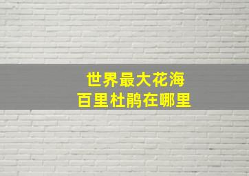 世界最大花海百里杜鹃在哪里