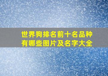 世界狗排名前十名品种有哪些图片及名字大全