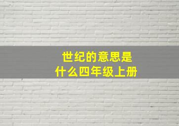 世纪的意思是什么四年级上册