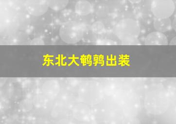 东北大鹌鹑出装