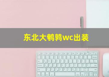 东北大鹌鹑wc出装