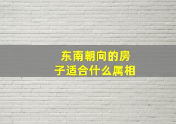 东南朝向的房子适合什么属相