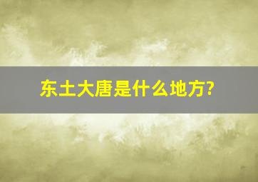 东土大唐是什么地方?