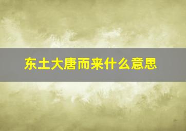 东土大唐而来什么意思