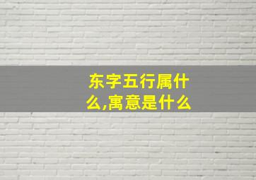 东字五行属什么,寓意是什么