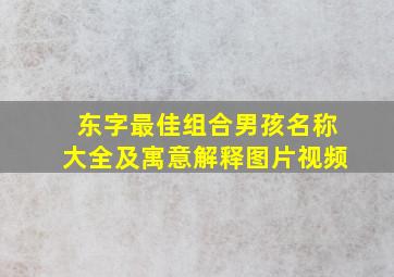 东字最佳组合男孩名称大全及寓意解释图片视频