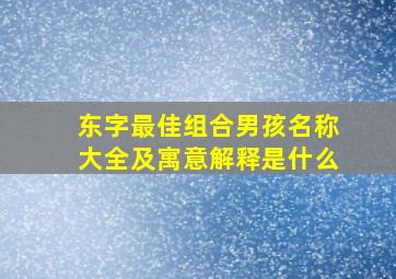 东字最佳组合男孩名称大全及寓意解释是什么