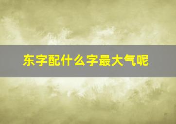 东字配什么字最大气呢