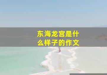 东海龙宫是什么样子的作文