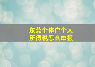 东莞个体户个人所得税怎么申报