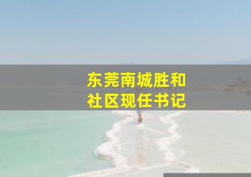 东莞南城胜和社区现任书记