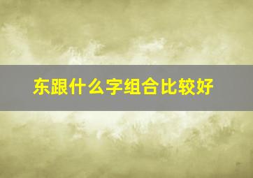 东跟什么字组合比较好