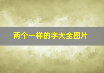 两个一样的字大全图片