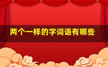 两个一样的字词语有哪些