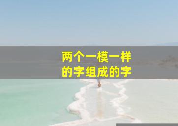 两个一模一样的字组成的字