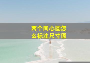 两个同心圆怎么标注尺寸图