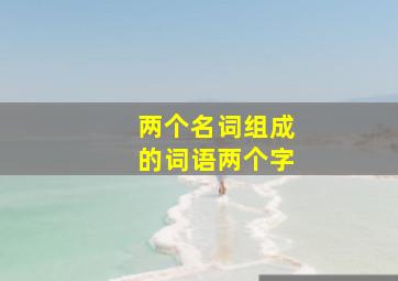 两个名词组成的词语两个字