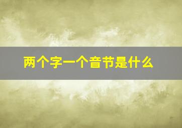 两个字一个音节是什么