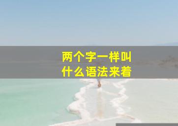 两个字一样叫什么语法来着