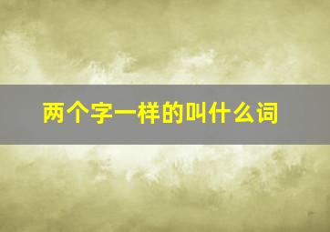 两个字一样的叫什么词