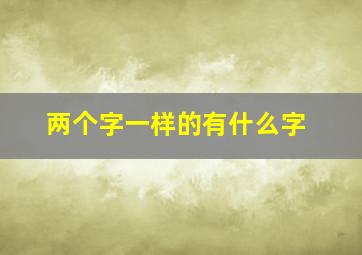 两个字一样的有什么字