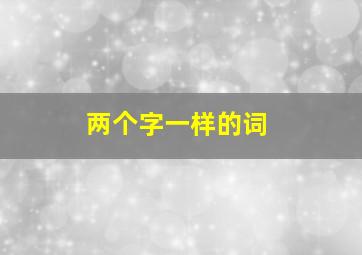 两个字一样的词