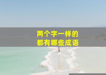 两个字一样的都有哪些成语