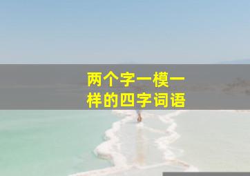 两个字一模一样的四字词语