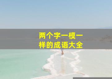 两个字一模一样的成语大全