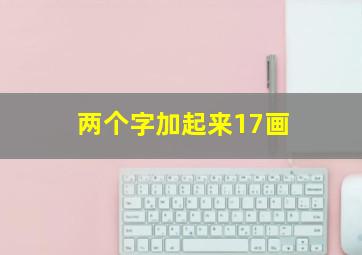 两个字加起来17画