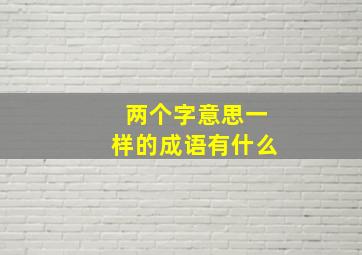 两个字意思一样的成语有什么