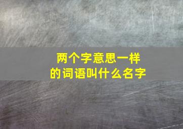 两个字意思一样的词语叫什么名字