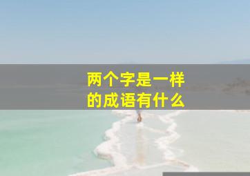 两个字是一样的成语有什么