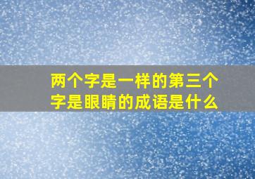 两个字是一样的第三个字是眼睛的成语是什么