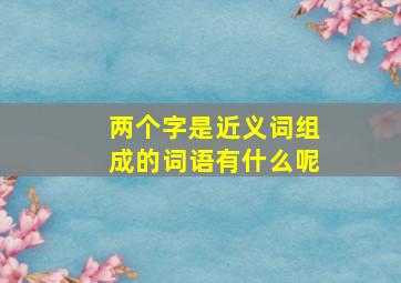 两个字是近义词组成的词语有什么呢