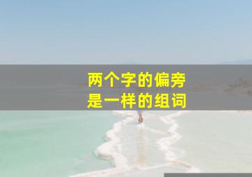 两个字的偏旁是一样的组词