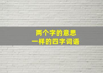 两个字的意思一样的四字词语